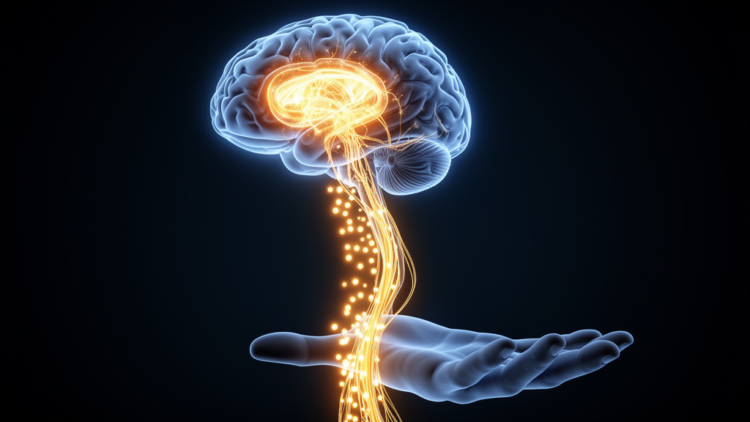 Slowed Movements in Parkinson’s Stem From Underscaled Motor Commands, Not Broken Neural Wiring