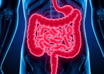Gut Microbe Networks Rewire Themselves in Ulcerative Colitis, Study Finds