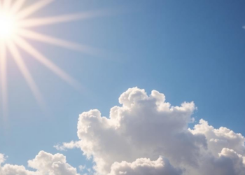 Sunlight Heats, the Sky Cools: Flexible Cell Turns Temperature Gap into Tripled Power