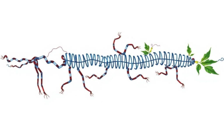 New Standard PEtab Select Brings Order to the Chaos of Choosing Biological Models