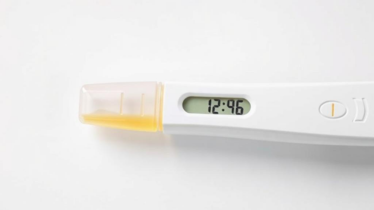 One Urine Sample May Not Capture a Pregnancy’s Full Chemical Exposure
