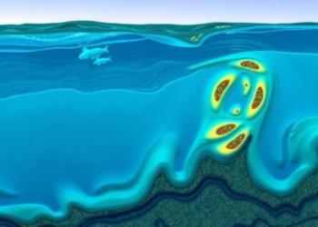Decade-Ahead Forecasts of Bottom Temperature, Oxygen and Acidity for the Gulf of Maine