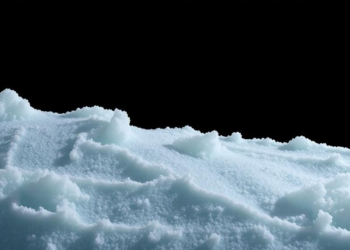 Ghost Invaders of the Arctic: Tiny Fossils Rewrite the Ocean’s Icy Past