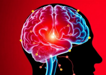 Inflammation Reshapes Brain Circuits in Early Schizophrenia, Study Finds