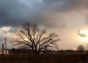 How Climate Change Rewrites the Weather of an Ordinary Day