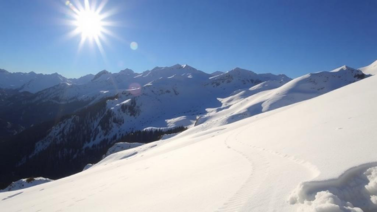 Suncups That Trap Sunlight Are Quietly Accelerating Alpine Snowmelt
