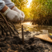Mangrove DNA Reveals a More Reliable Archive of Ancient Sea Levels