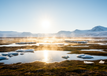 Sunlight and Clean Air Drive the Arctic’s Secret Particle Factories