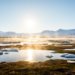 Sunlight and Clean Air Drive the Arctic’s Secret Particle Factories