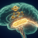 Early-Life NAD+ Booster Shows Promise for Cognitive Deficits in Schizophrenia Model