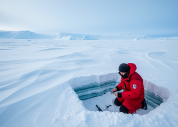 Antarctic Snowfall’s Hidden History: Winds and Meltwater Explain Why Models Overpredict a Warming-Driven Gain