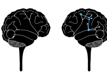 How Threat Rewires the Brain’s Decision Math in Approach-Avoidance Choices