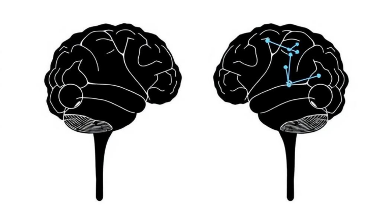 How Threat Rewires the Brain’s Decision Math in Approach-Avoidance Choices