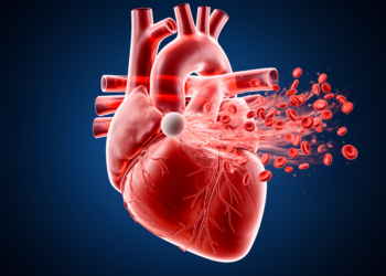When the Heart Takes a Hit: Timing Determines How Blunt Chest Impact Disturbs Blood Flow