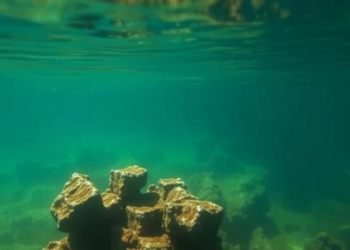 The Hydrogeologist Who Heard Music in Water: Luís Ribeiro’s Uncommon Scientific Legacy