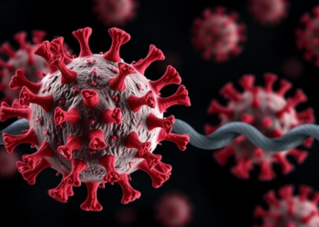 African swine fever virus reshapes host genome architecture within hours of infection