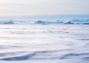 Blowing snow acts as a blanket and mirror over the Greenland Ice Sheet