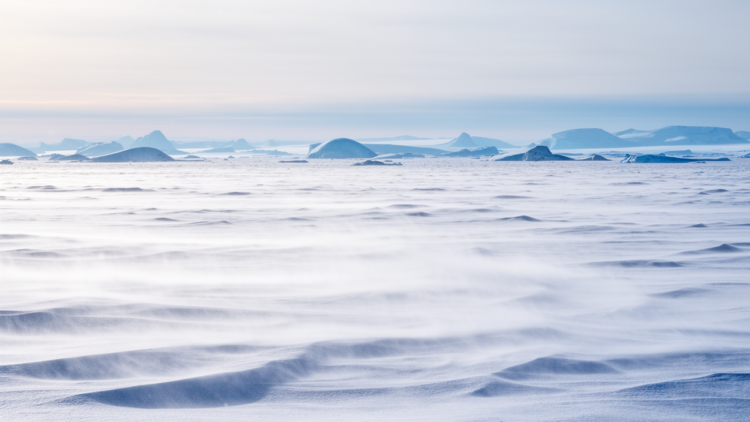 Blowing snow acts as a blanket and mirror over the Greenland Ice Sheet