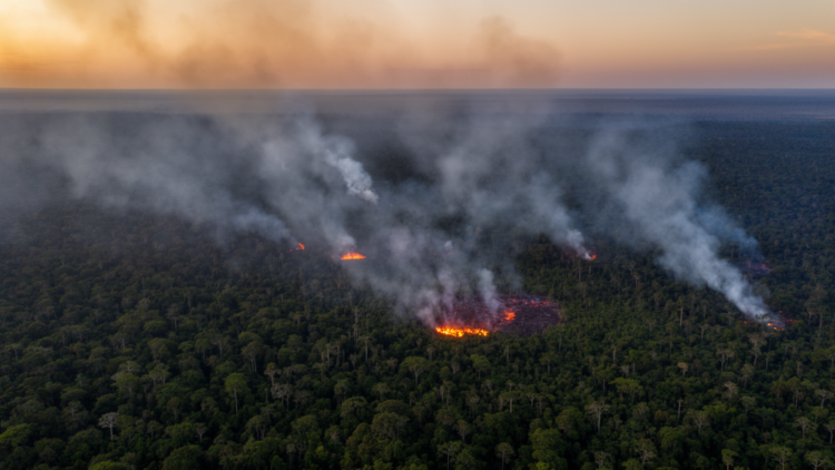 Invisible Ozone from Amazon Fires Quietly Steals a Quarter of Fire Carbon Emissions