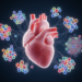 Scientists map the developing human heart cell by cell and reveal how Down syndrome disrupts it
