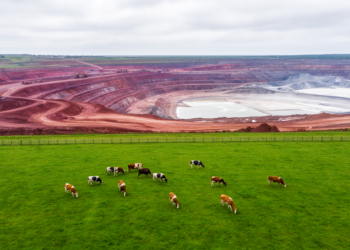 The Hidden Mining Footprint Missing From Farm Animal Sustainability Studies
