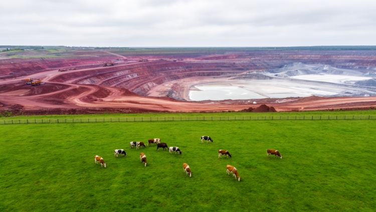 The Hidden Mining Footprint Missing From Farm Animal Sustainability Studies