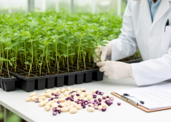 Mutation Breeding Could Unlock the Hidden Potential of Bambara Groundnut
