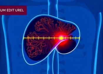 How Measurement Errors Could Undermine the 5-Millimeter Rule in Liver Cancer Ablation