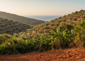 The Tropics Are Creeping Toward the Mediterranean, and the Region’s Climate Is Shifting With Them