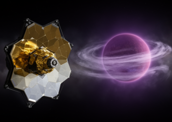 Webb Telescope Catches Water Clouds Changing Weather on a Nearby Brown Dwarf