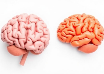 Your Brain Learns New Weight Clues as Fast as Familiar Ones