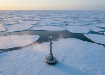 Simple Algorithm Forecasts Arctic Sea Ice Nine Months Ahead
