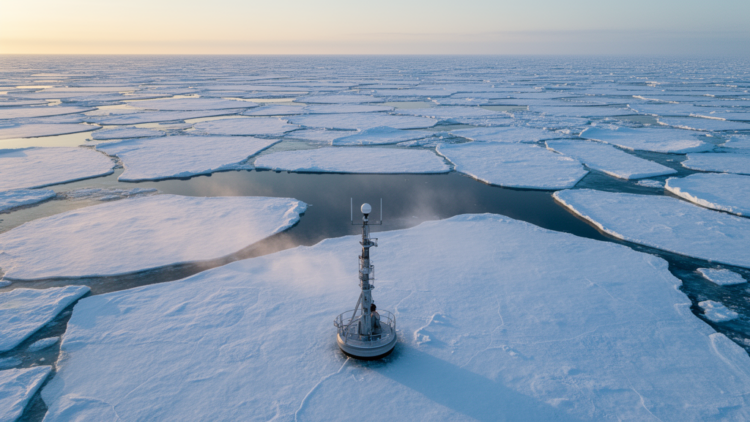 Simple Algorithm Forecasts Arctic Sea Ice Nine Months Ahead