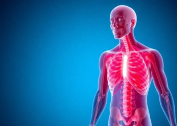 Muscle Symptoms May Anchor a Hidden Web of Body-Wide Dysregulation in ME/CFS