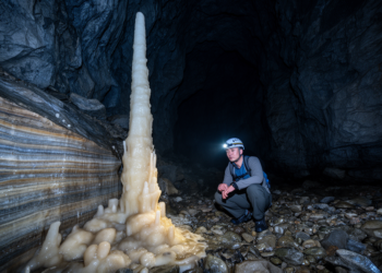 Why Korea’s Caves Stay Silent While Asian Monsoons Swing: A 550,000-Year Isotope Mystery Solved
