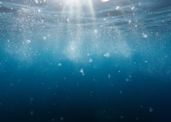 Vanishing plankton may be quieting the Atlantic’s own El Niño