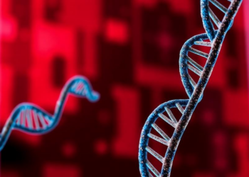 DNA Repair Gene Mutations Predict Dramatically Better Immunotherapy Outcomes in Colorectal Cancer