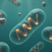 Freshwater Cyanophages Reveal Flip-Flopping Genomes and a Two-Way Gene