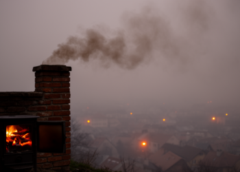 Wood Smoke Tops the List as Belgrade’s Air Pollution Fingerprint Revealed in Year-Long Study