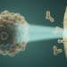 How Tumors Survive Radiation: Plastic Cells and Tolerant Niches Drive Recurrence