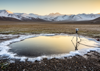 Frozen Ground Rewrites the Rules of Groundwater Recharge on the Qinghai–Tibet Plateau