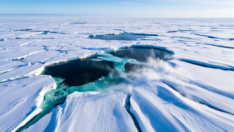 Winds Blow Holes in Antarctic Ice, Then Waves Shatter It From Within