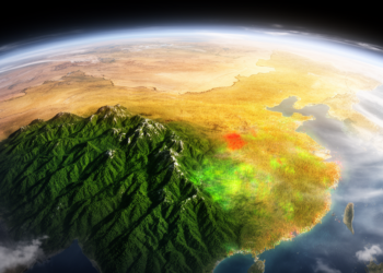 Massive 40-Year Satellite Dataset Maps Every Forest Change Across China