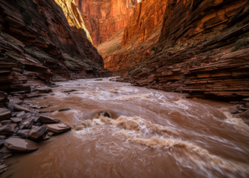 Deep Canyons Hide a Secret: River Sediment Surges 15 Metres in a Single Season
