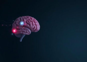 Brain Injuries and Chronic Stress May Drive Memory Loss in Abuse Survivors