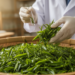 Microbes, Not Just the Plant, Decide How Your Tea Tastes and Works
