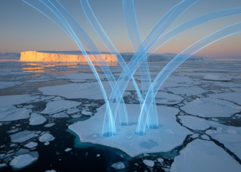 Same Meltwater, Wildly Different Ice: Models Split on Antarctic Sea Ice Future