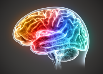 Two Separate Brain Gradients Reveal How Aging and Alzheimer’s Reshape Connectivity