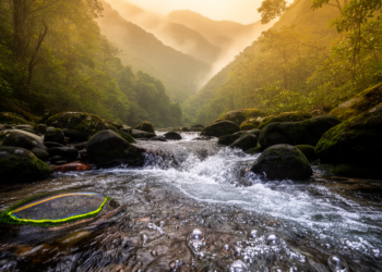 Tiny River Microbes Leave a Measurable Mark on Carbon Dioxide in Taiwan’s Rugged Mountains