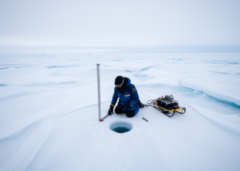 Antarctic Sea Ice Snow Varies Over Meters, Not Kilometers, Machine-Learning Study Finds